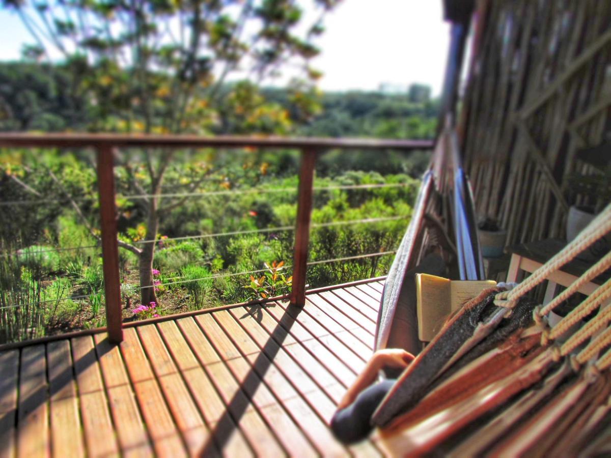 מלון קניסנה Woodlands Self Catering מראה חיצוני תמונה