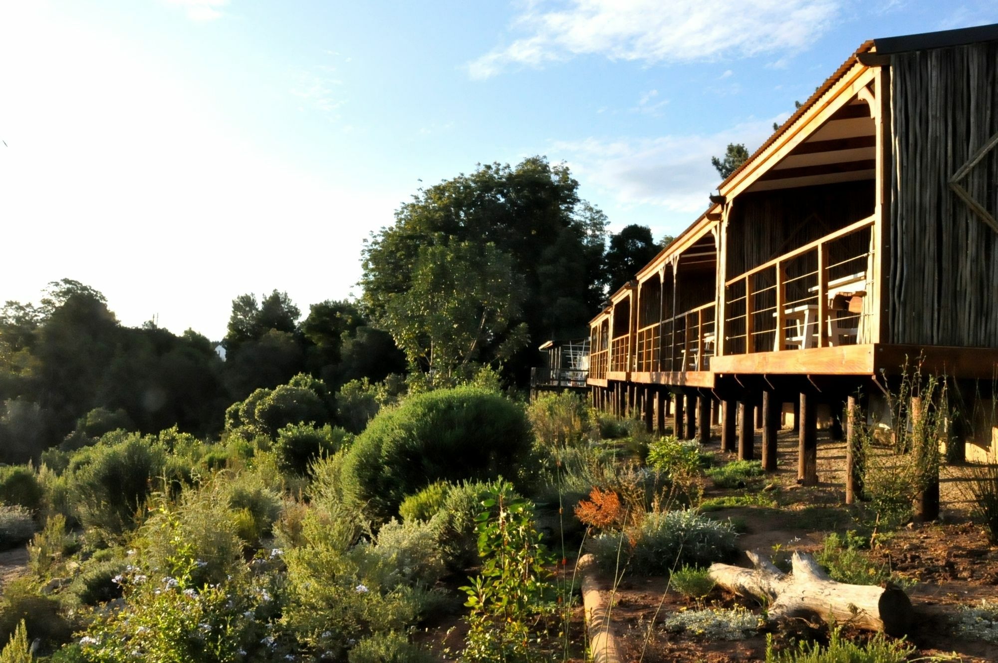מלון קניסנה Woodlands Self Catering מראה חיצוני תמונה