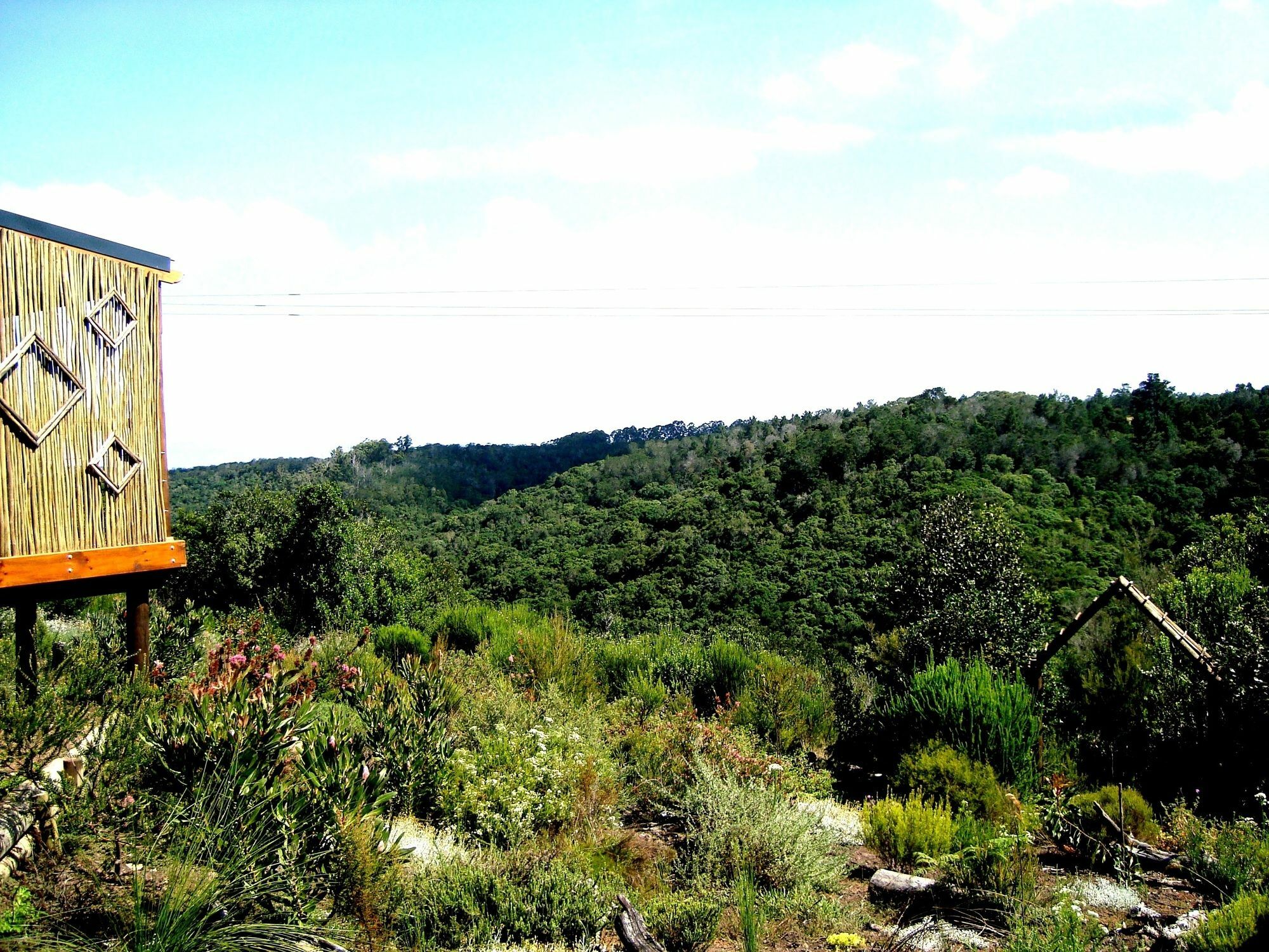 מלון קניסנה Woodlands Self Catering מראה חיצוני תמונה