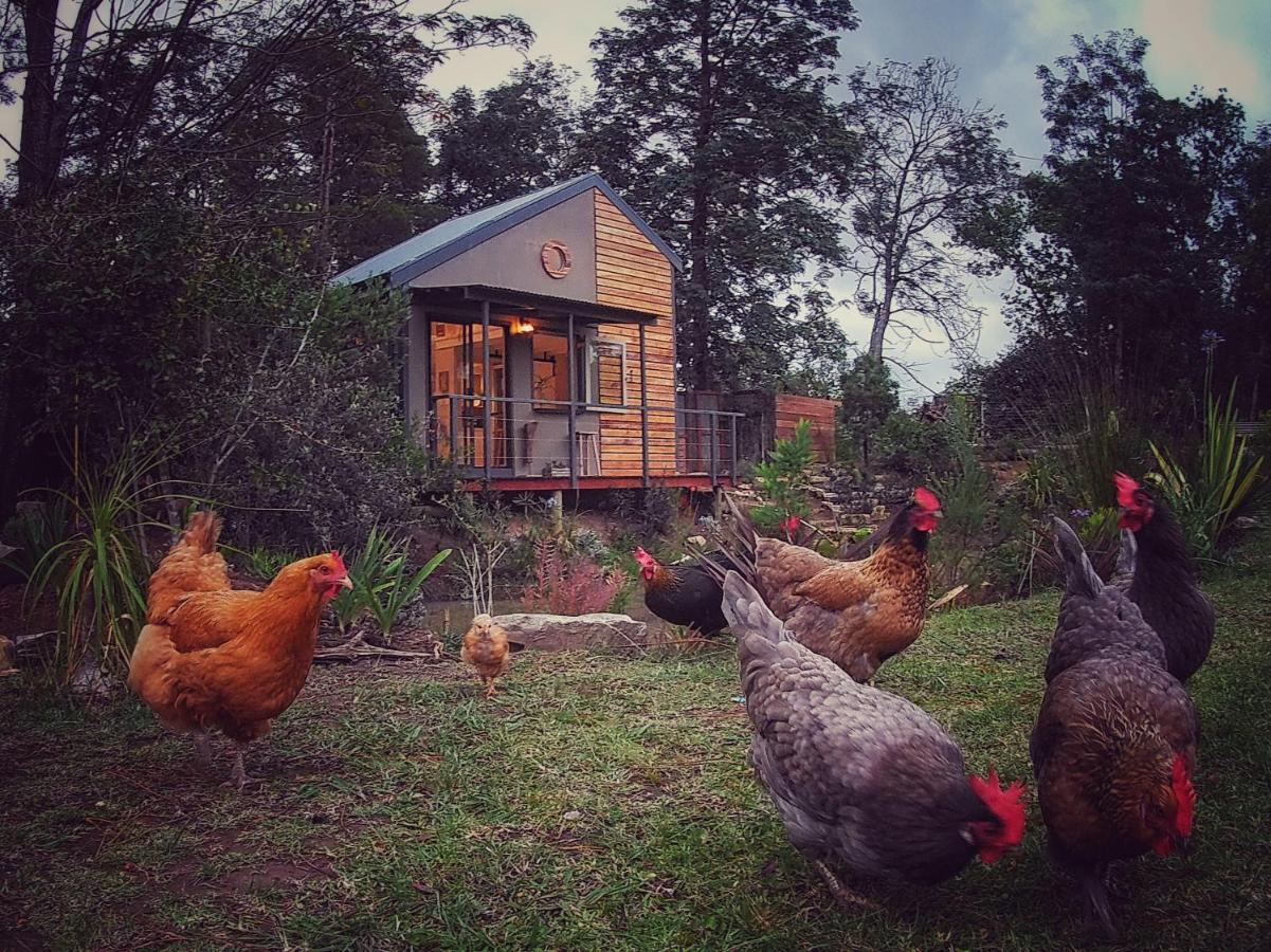 מלון קניסנה Woodlands Self Catering מראה חיצוני תמונה